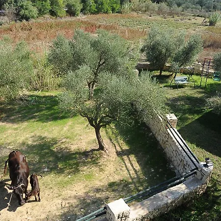 Ammos Zante Villas Ανω Βασιλικος Εξωτερικό φωτογραφία