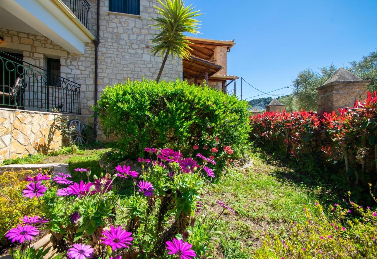 Διαμέρισμα Ammos Zante