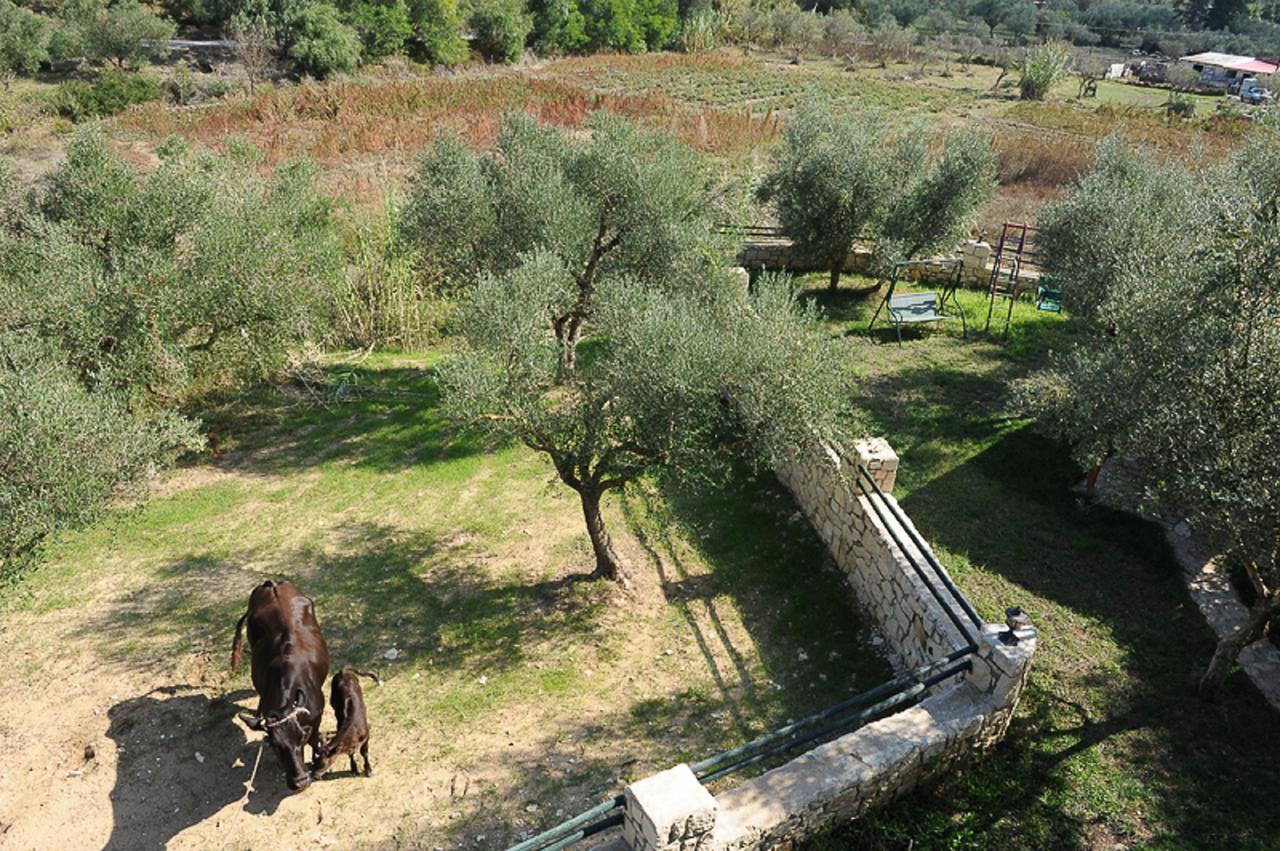 Appartement Ammos Zante Vasilikí